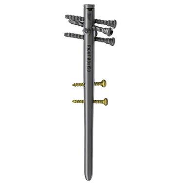 Product Picture Enlargement CW-Proximal Humerus / Targon® PH+