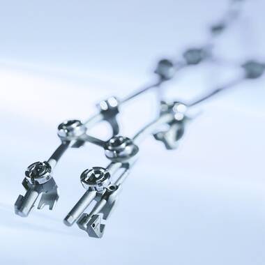 Product Picture Enlargement CW-SSE Spine System Evolution