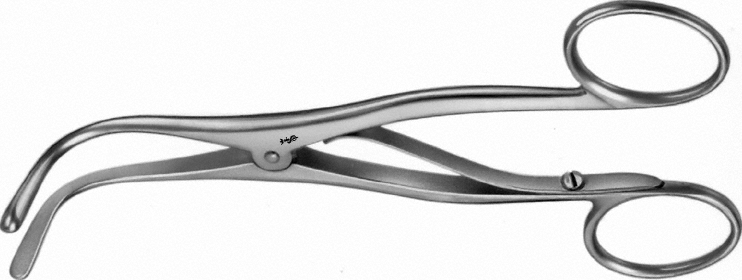 Dilator bilan mushuk Dilator bilan mushuk