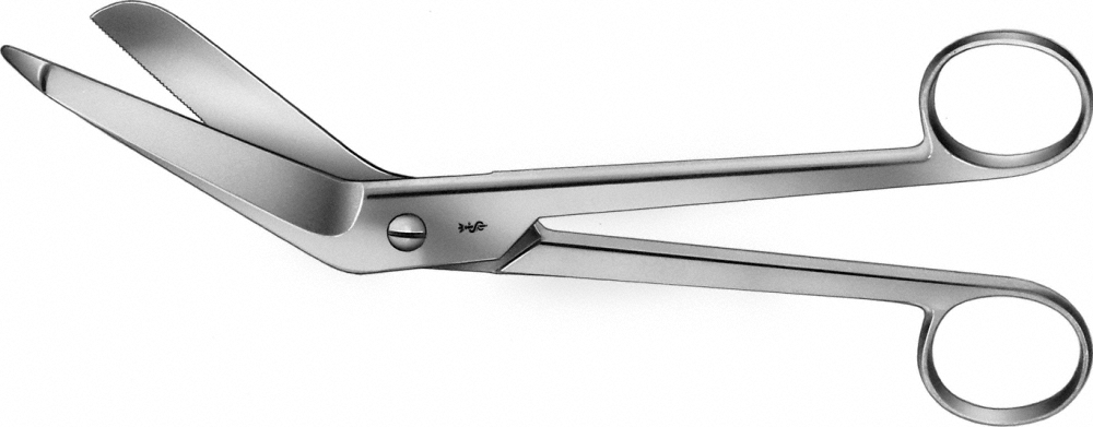 Porno filmlarda külotlu çoraplarda dumbalar Bangbros porno hd